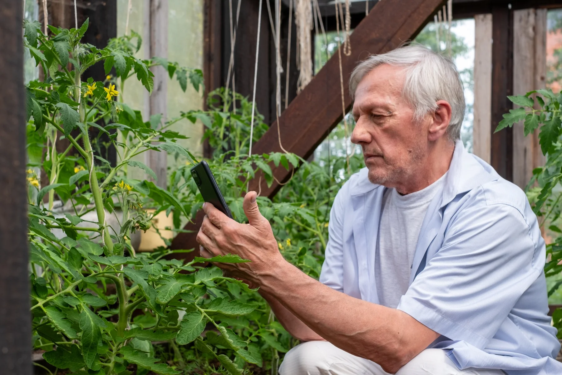 An older man enjoying gardening